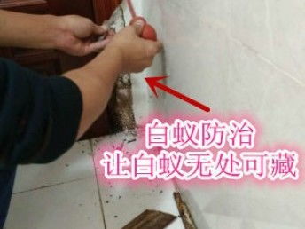 深圳專業保潔與除蟲服務 工廠、商店、展廳的全方位清潔解決方案